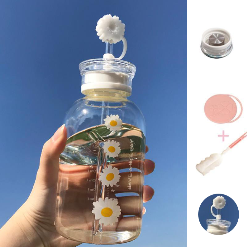 Glass Water Bottle with Straw Creative Daisy Frosted Transparent Cup Leakproof Portable Drinking Bottle with a Sealing Cap Lid